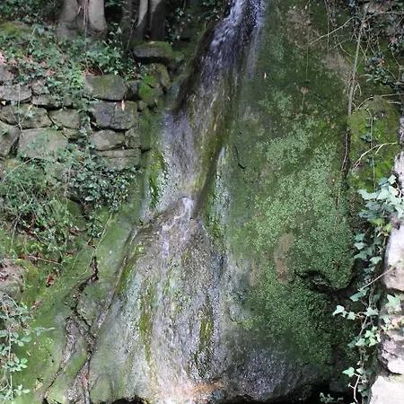 Le Domaine Du Naizadou Chalet Lou Grilh La Barriére