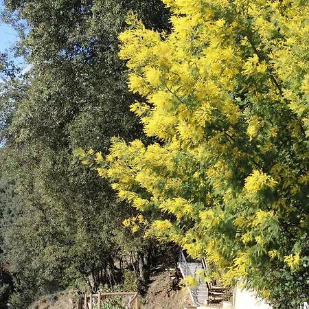 Le Domaine Du Naizadou Chalet Lou Grilh *